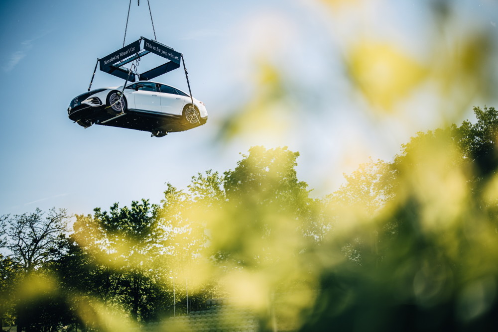 在组织上的 在组织上的