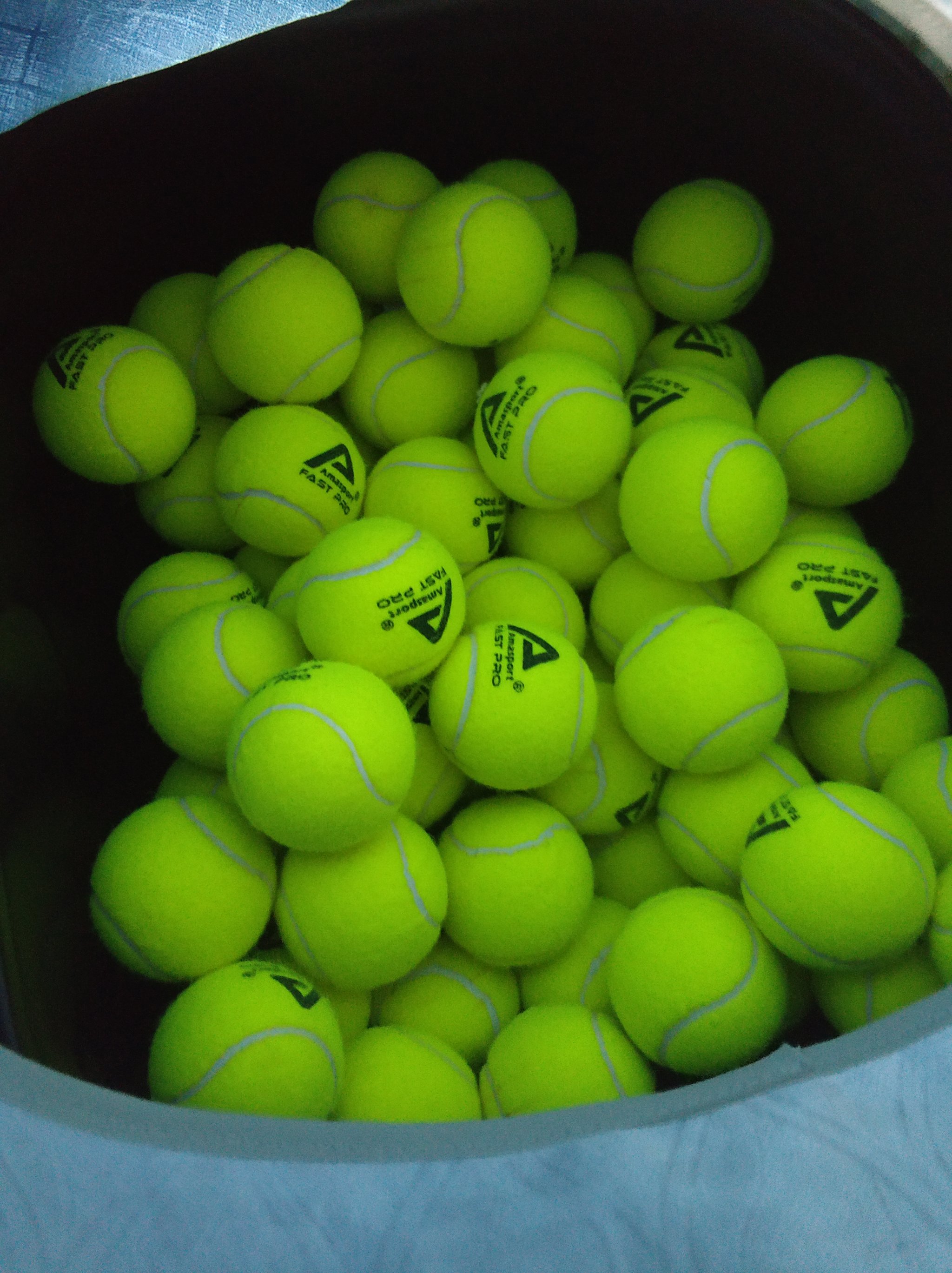 例是战胜灰 例是战胜灰