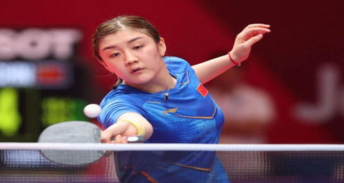 数据与案例 数据与案例