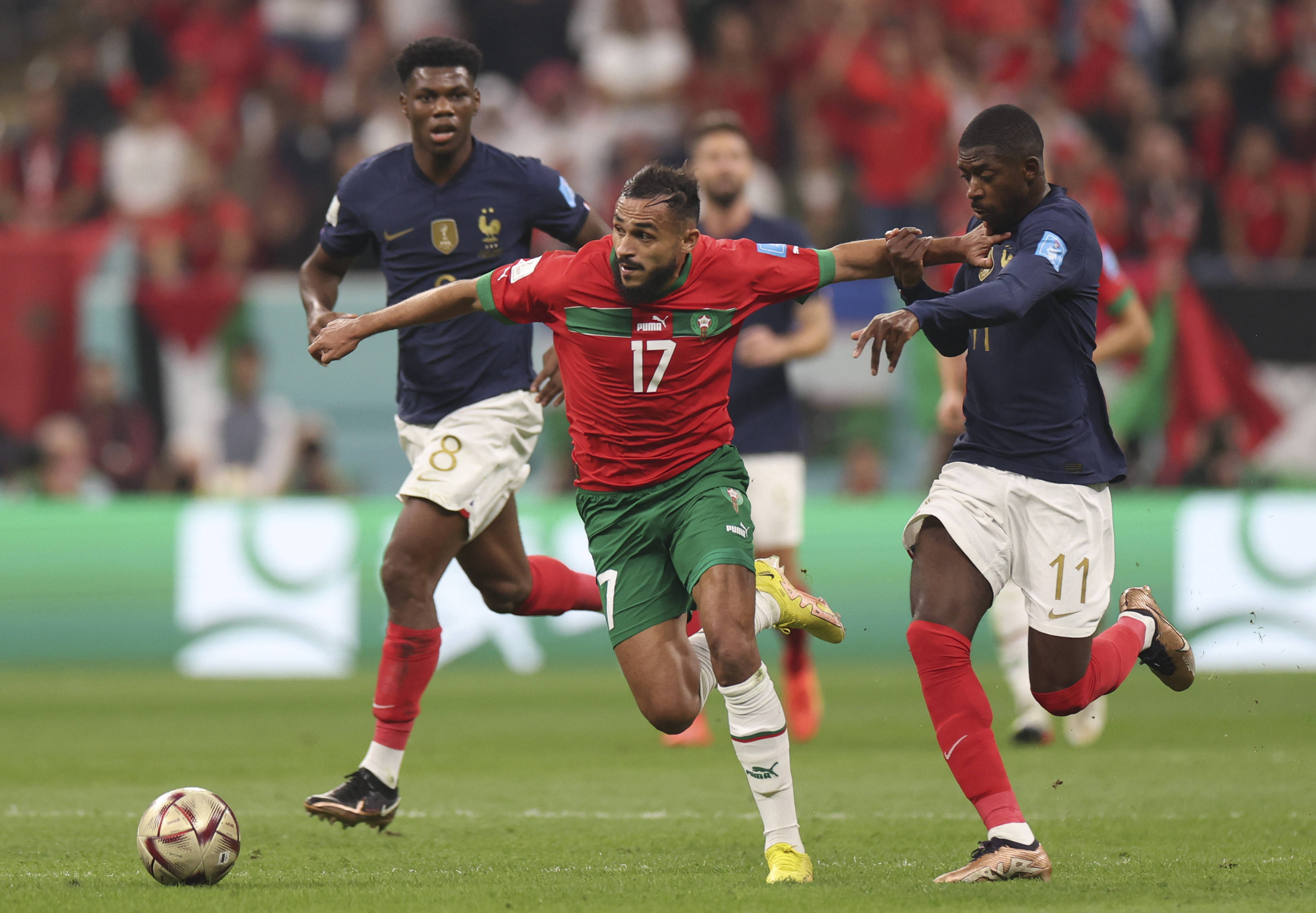 迫使国王的 迫使国王的