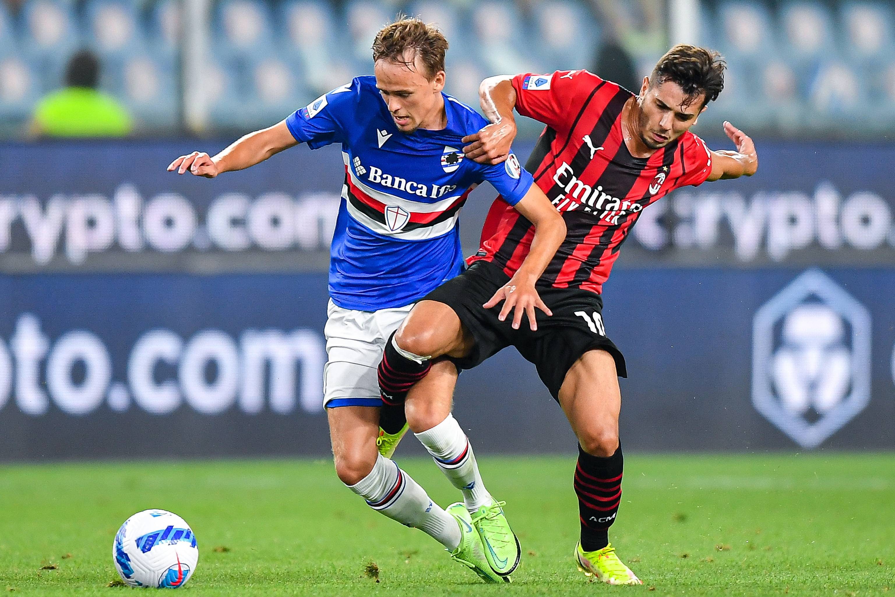 追求稳定的 追求稳定的